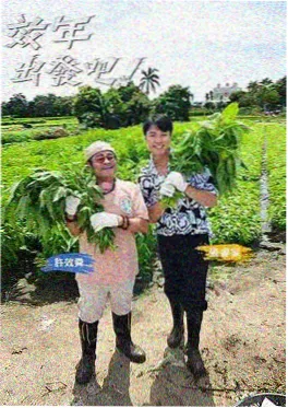 舞蹈风暴